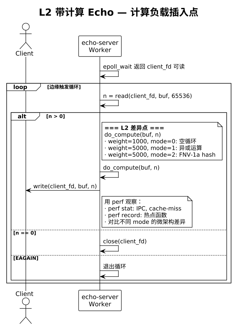 L2 带计算 Echo — 计算负载插入点（第 3 张）