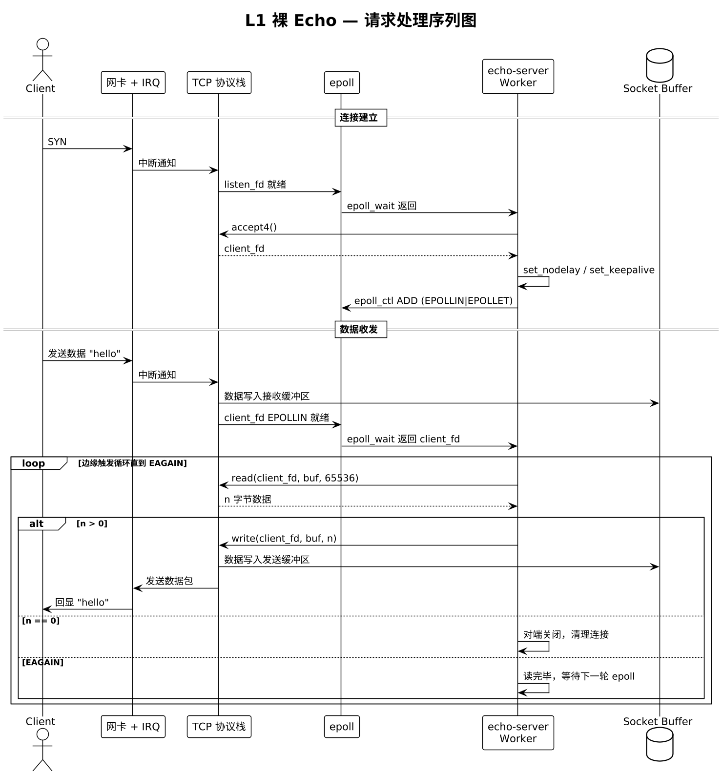 L1 裸 Echo — 请求处理序列图（第 2 张）